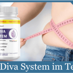 indiva-system-titelbild