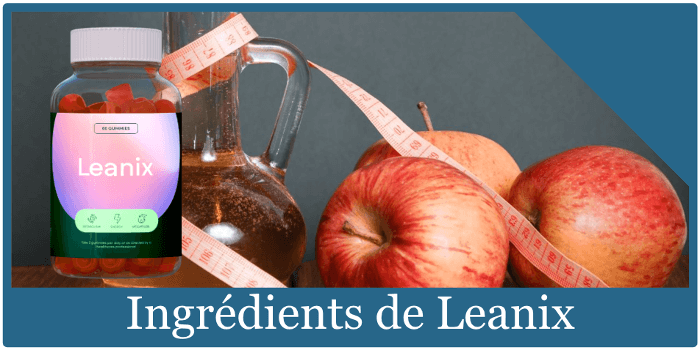 ingredients-de-leanix