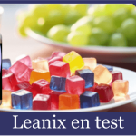 leanix-en-test