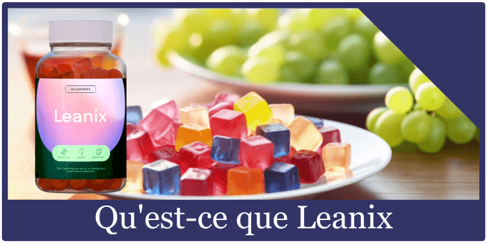 qu-est-ce-que-leanix