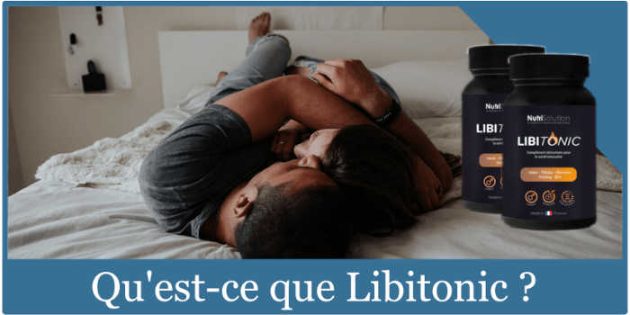 Qu'est-ce que Libitonic ?