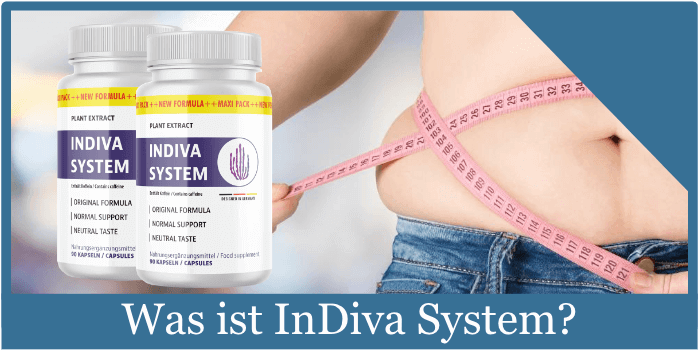 was-ist-indiva-system