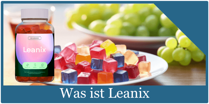 was-ist-leanix