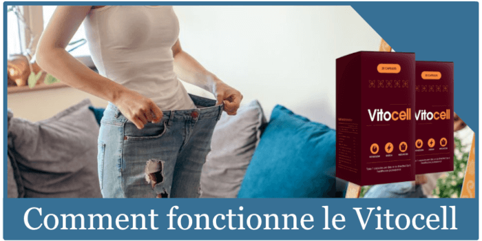 Comment fonctionne le Vitocell ?