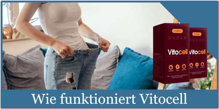 Wie funktioniert Vitocell?